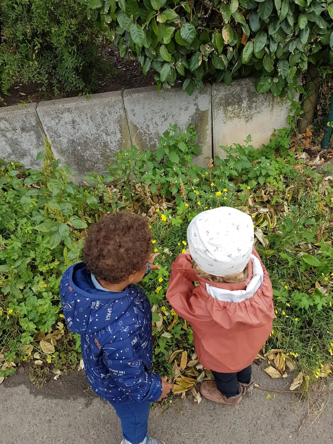 Kinder spielen von Wald und Wiesenzwerge 
