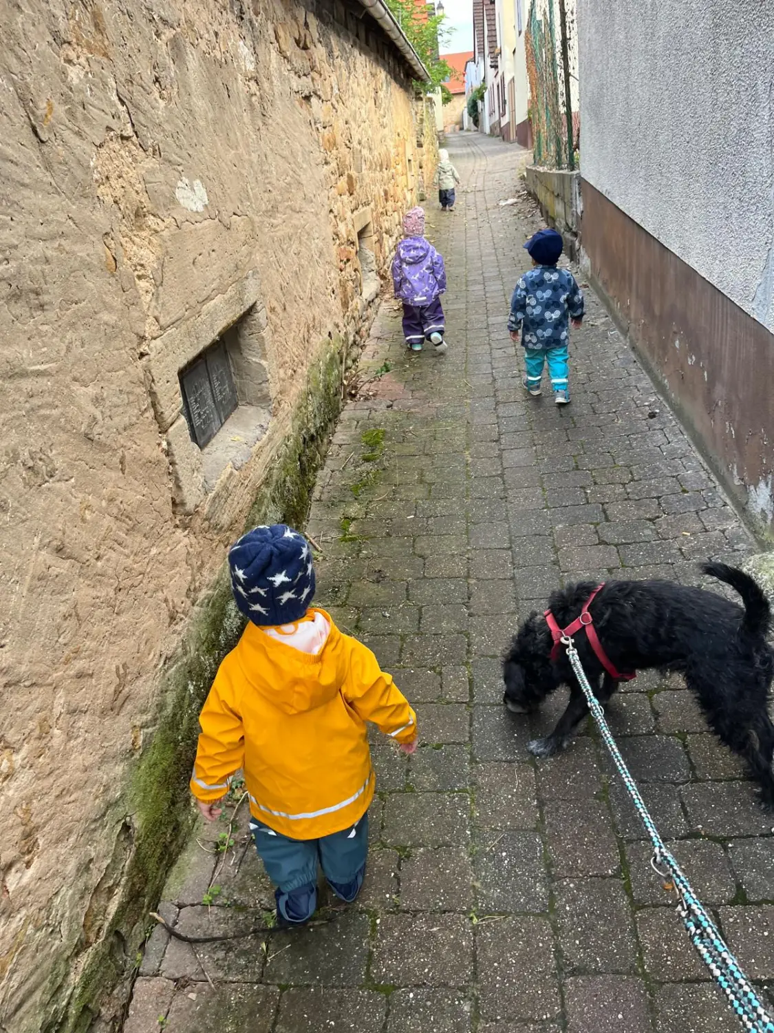 Kinder spielen von Wald und Wiesenzwerge 