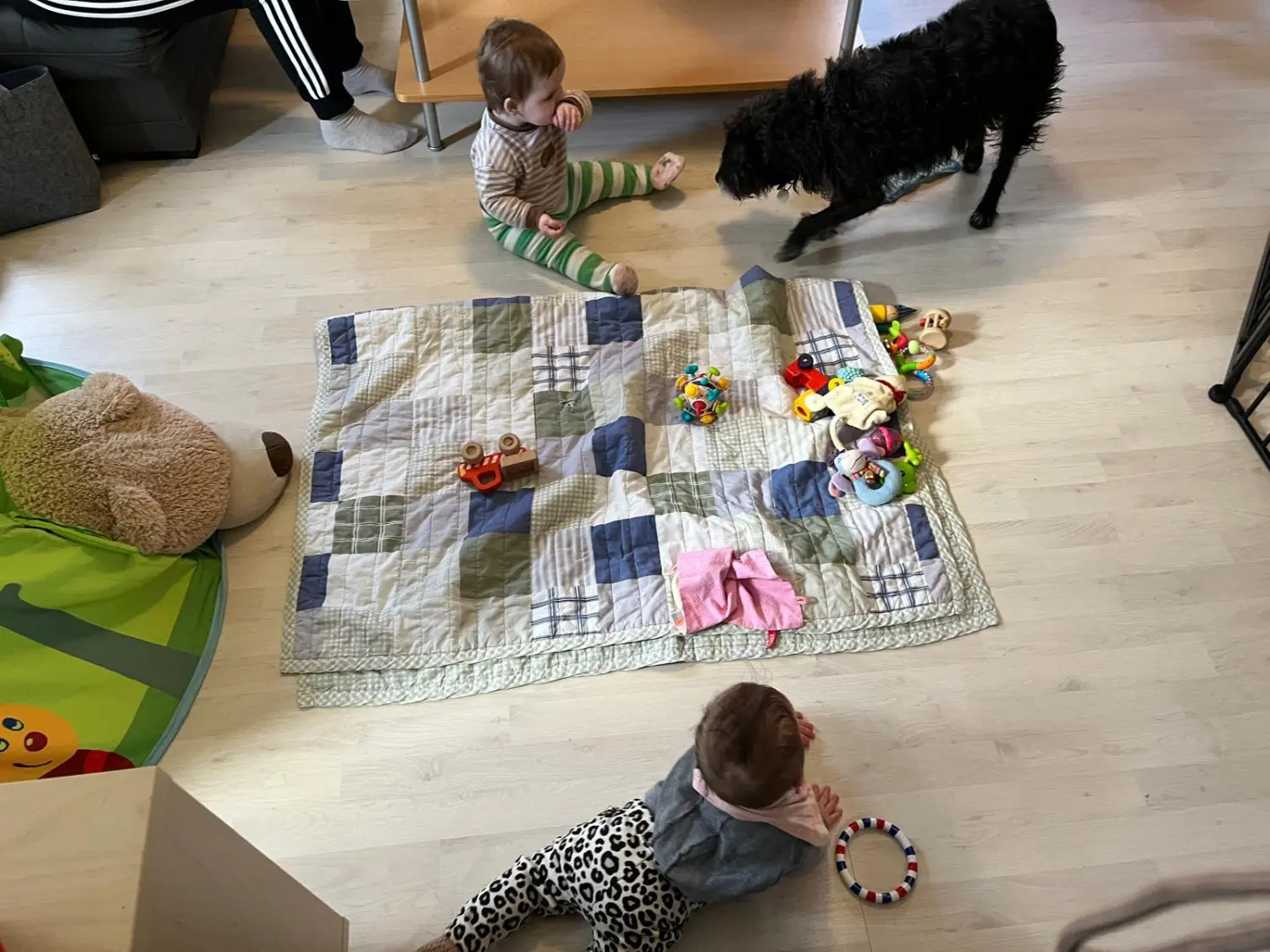 Kinder spielen von Wald und Wiesenzwerge 